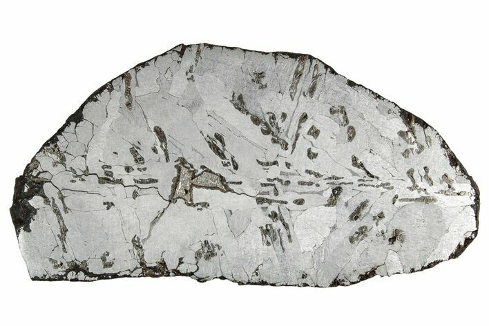 Etched Canyon Diablo Meteorite Slice ( g) - Arizona #356054